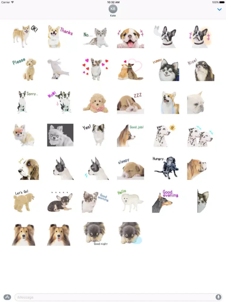 Rex The Realistic Dog iPad  Screenshots