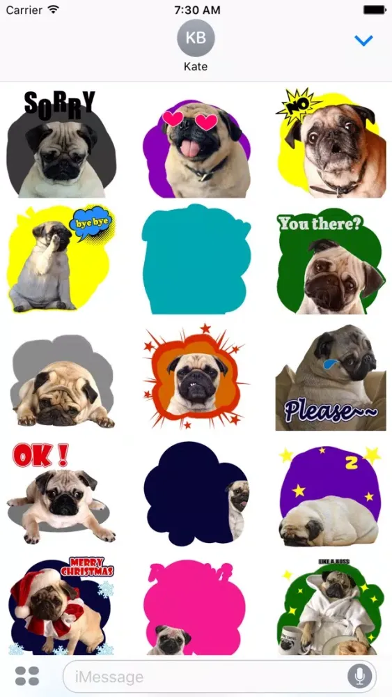 Capturas de tela do Handsome Pug Puppy Animated