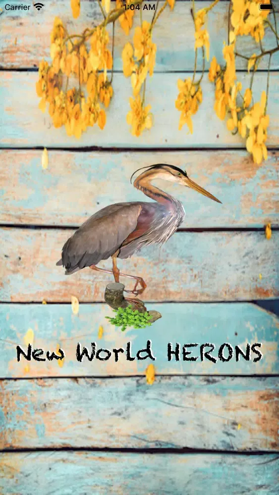 Tangkapan layar New World HERONS