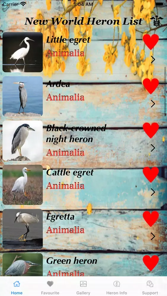 Tangkapan layar New World HERONS