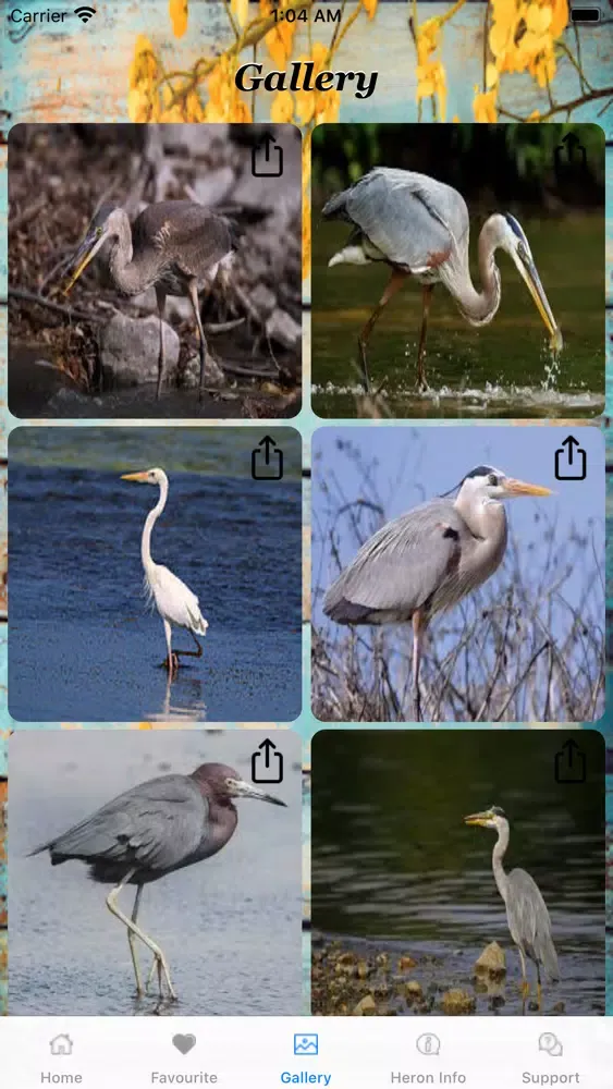 Tangkapan layar New World HERONS