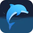 海豚睡眠