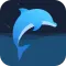 海豚睡眠