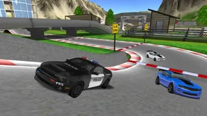 Скриншоты Policedroid 3D : RC Police Car Driving