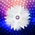 Hand Fidget Spinny - Test your eyes