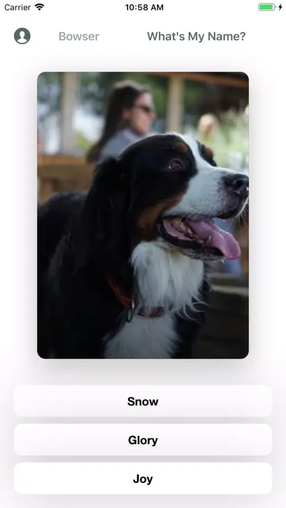 Ảnh chụp màn hình của Hey Pup