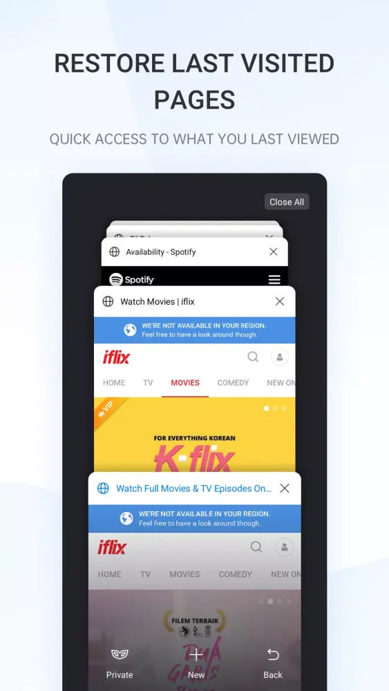 Internet Browser应用截图