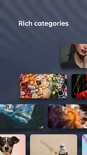Heytap Pictorial سکرین شاٹس
