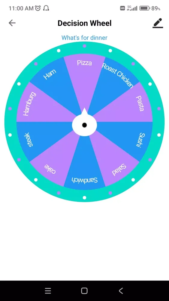Decision Wheel スクリーンショット