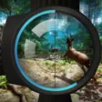 Hunting deer