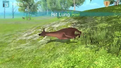Captures d'écran de Hunting deer