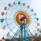 Theme Park Fun Swings Ride
