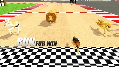 Crazy Wild Animal Racing Game应用截图