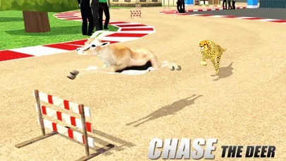 Crazy Wild Animal Racing Game应用截图