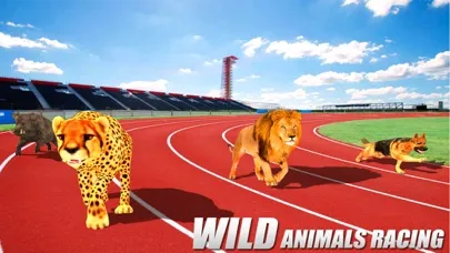 Crazy Wild Animal Racing Game应用截图