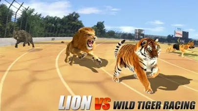 Crazy Wild Animal Racing Game应用截图