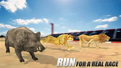 Crazy Wild Animal Racing Game应用截图