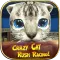 Crazy Cat Rush Racing