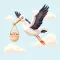 Stork: Babyname finder & maker