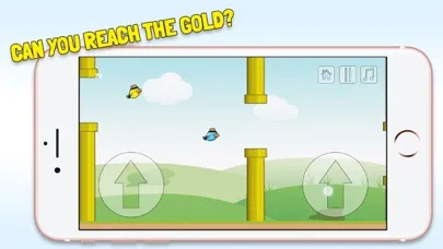 تصاویر 2 Floppy Birds - Twice as fun