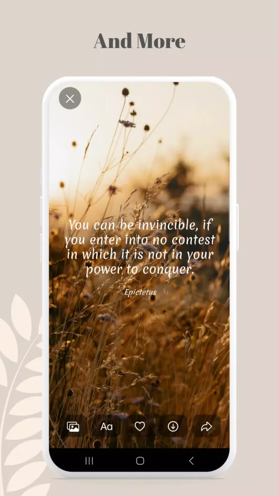 صور Daily Stoic - Quotes