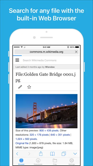 Files - File Manager & Browser 스크린샷