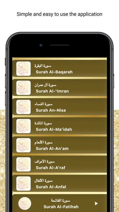 Capturas de tela do Ahmed ajami - Quran MP3
