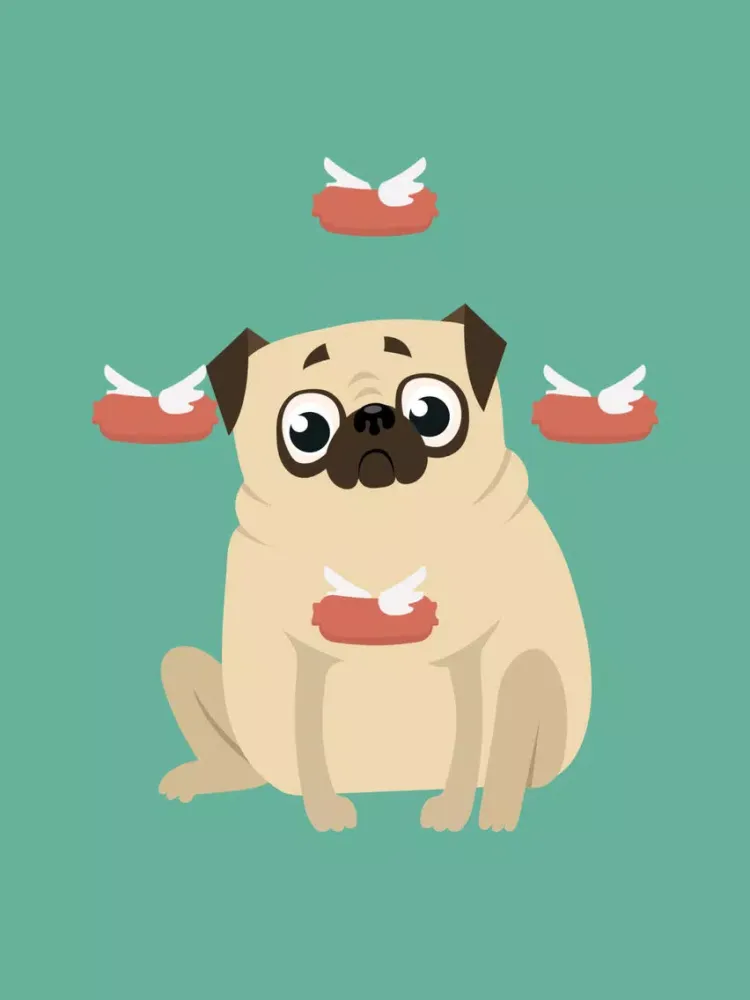 Скриншоты Pug Adventures iPad 