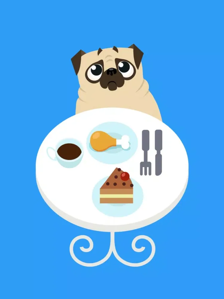 Скриншоты Pug Adventures iPad 