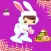 A Bunny Boys Sweet Land Adventure