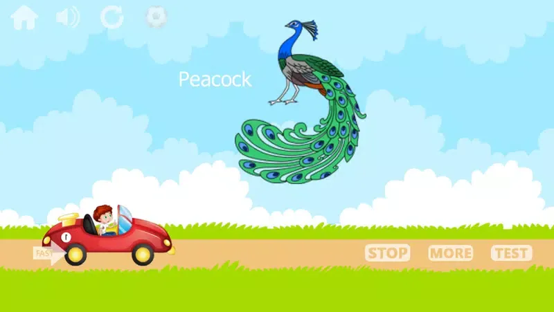 Capturas de tela do Learn 1 to 1000 Numbers
