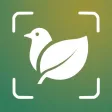 Animal & Plant Identifier Animal & Plant Identifier
