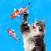 Cat alone: Fish game for cats