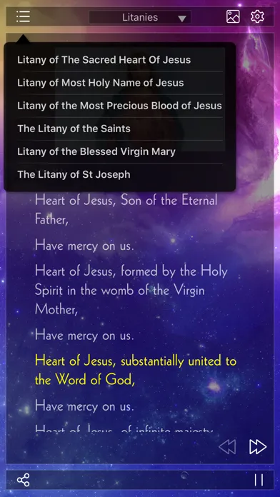 Holy Rosary Audio Deluxe(Rosary and Divine Mercy) স্ক্রিনশট