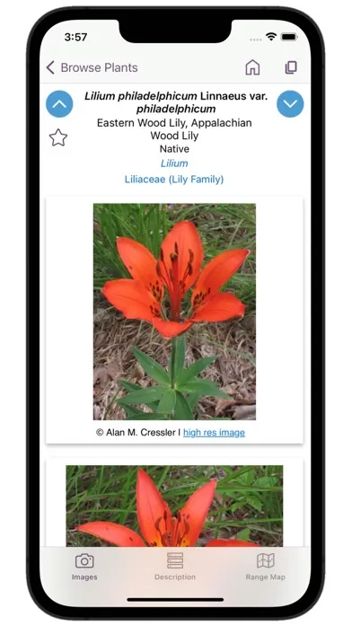 FloraQuest: Carolinas, Georgia سکرین شاٹس