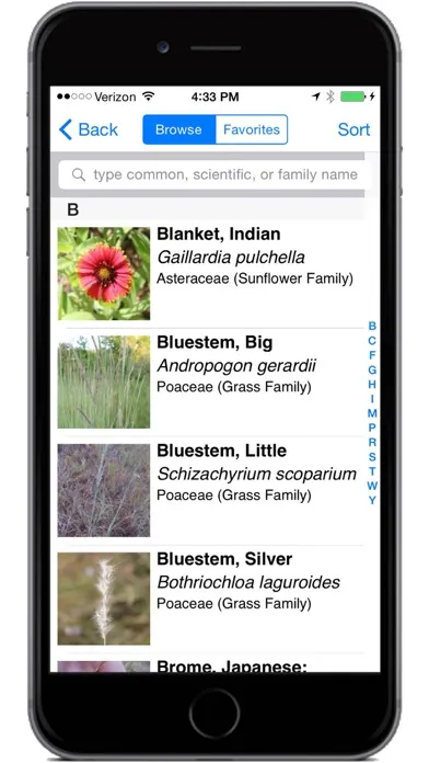 تصاویر Flora of Texas: FW Prairie