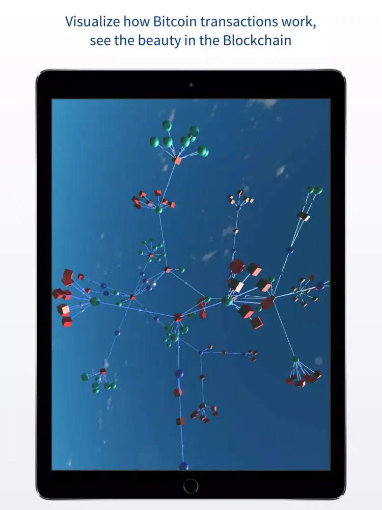 Blockchain 3D and VR Explorer iPad  سکرین شاٹس