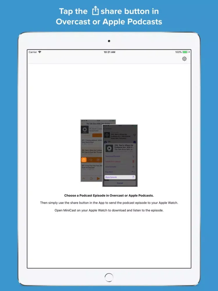 Tangkapan layar MiniCast iPad 