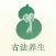 葫芦养生-八段锦、太极拳、站桩