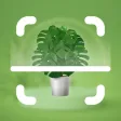 Plant Identifier : Garden Tips Plant Identifier : Garden Tips