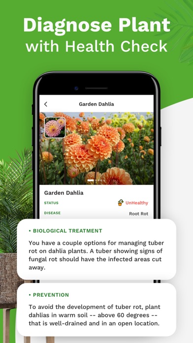Capturas de tela do Plant Identifier : Garden Tips