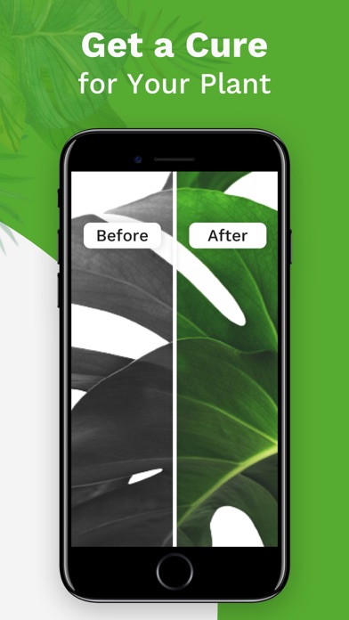 Capturas de tela do Plant Identifier : Garden Tips