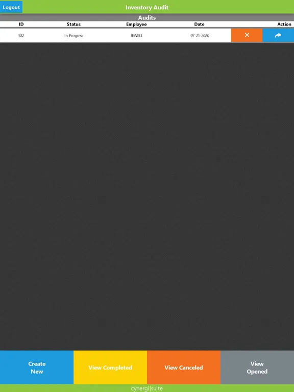 Cynergi Inventory Audit iPad 应用截图