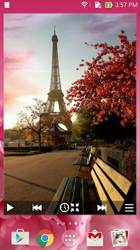 Animated Photo Widget + Screenshots