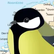 Birds of the Netherlands Birds of the Netherlands