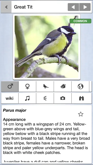Ảnh chụp màn hình của Birds of the Netherlands