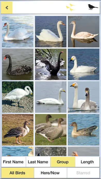 Ảnh chụp màn hình của Birds of the Netherlands
