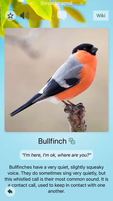 Chirp! Bird Songs UK & Europe Screenshots