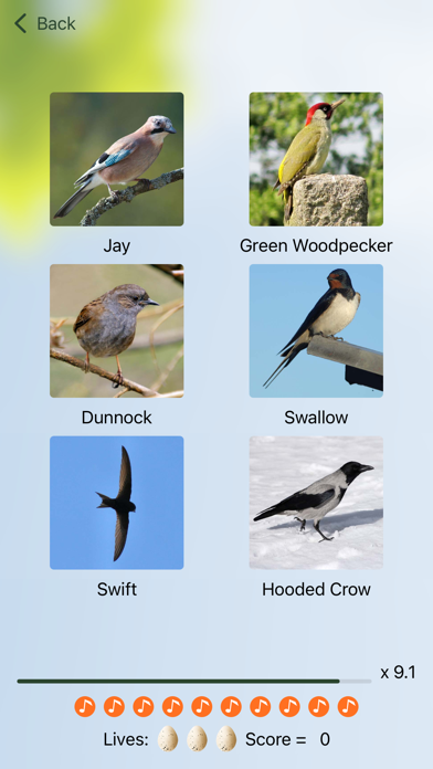 Chirp! Bird Songs UK & Europe應用截圖