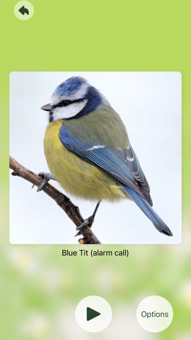Chirp! Bird Songs UK & Europe應用截圖